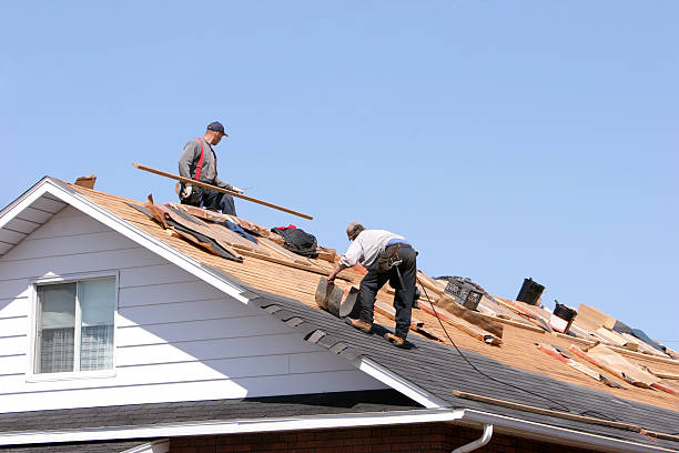 Best Storm Damage Roof Repair  in Jacksonwald, PA
